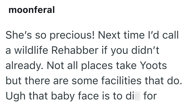 moonferal She's so precious! Next time I'd call a wildlife Rehabber if you didn't already. Not all places take Yoots but there are some facilities that do. Ugh that baby face is to di for