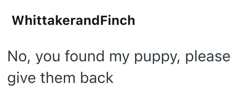 WhittakerandFinch No, you found my puppy, please give them back