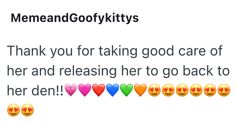 MemeandGoofykittys Thank you for taking good care of her and releasing her to go back to her den!!