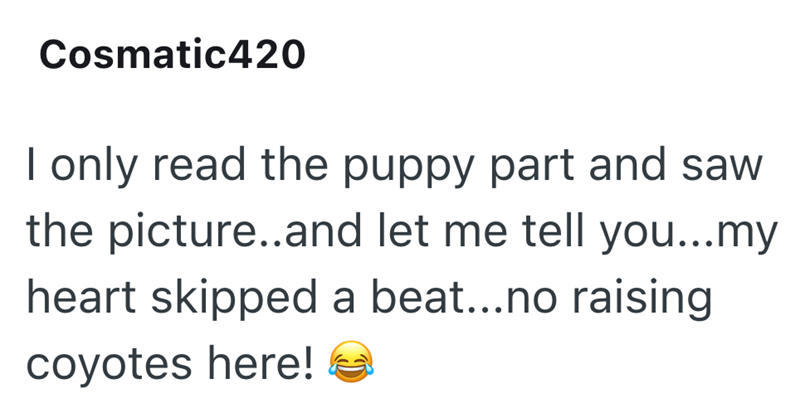 Cosmatic420 I only read the puppy part and saw the picture..and let me tell you...my heart skipped a beat...no raising coyotes here!