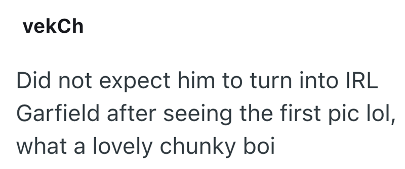 vekCh Did not expect him to turn into IRL Garfield after seeing the first pic lol, what a lovely chunky boi