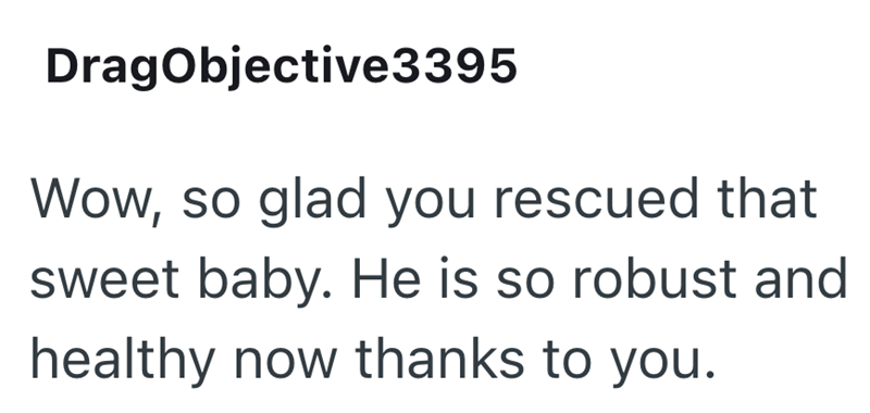 DragObjective3395 Wow, so glad you rescued that sweet baby. He is so robust and healthy now thanks to you.
