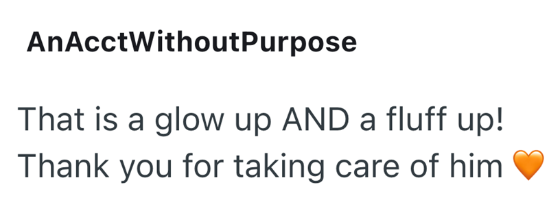 AnAcctWithout Purpose That is a glow up AND a fluff up! Thank you for taking care of him