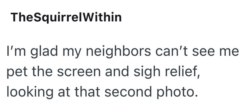 TheSquirrel Within I'm glad my neighbors can't see me pet the screen and sigh relief, looking at that second photo.
