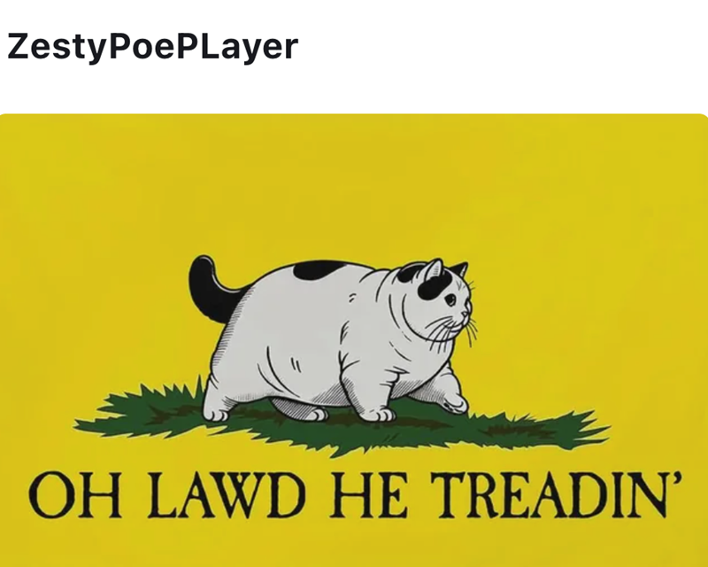 ZestyPoePLayer OH LAWD HE TREADIN'