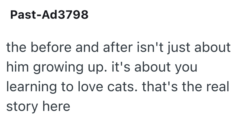 Past-Ad3798 the before and after isn't just about him growing up. it's about you learning to love cats. that's the real story here