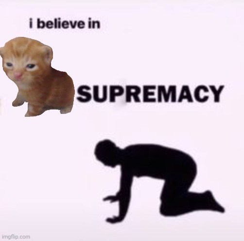 imgflip.com i believe in SUPREMACY