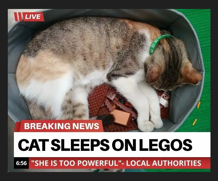 LIVE BREAKING NEWS CAT SLEEPS ON LEGOS 6:56 "SHE IS TOO POWERFUL"- LOCAL AUTHORITIES