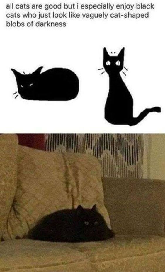 all cats are good but i especially enjoy black cats who just look like vaguely cat-shaped blobs of darkness