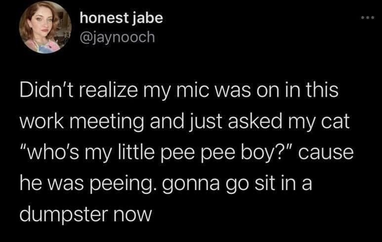 honest jabe @jaynooch Didn't realize my mic was on in this work meeting and just asked my cat "who's my little pee pee boy?" cause he was peeing. gonna go sit in a dumpster now