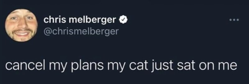 chris melberger ✪ @chrismelberger cancel my plans my cat just sat on me