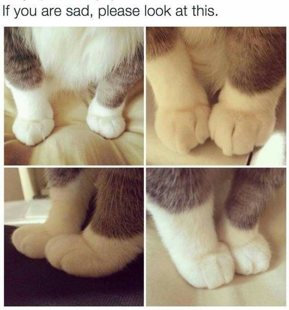 If you are sad, please look at this.