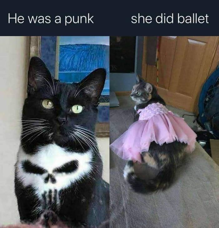 He was a punk she did ballet