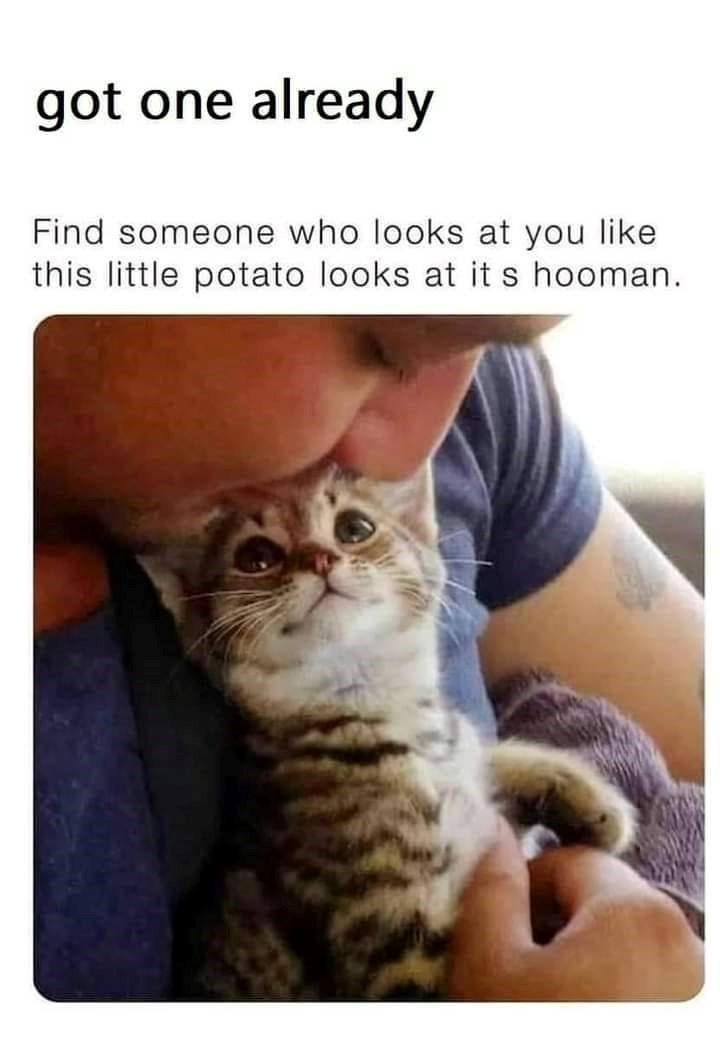 got one already Find someone who looks at you like this little potato looks at its hooman.