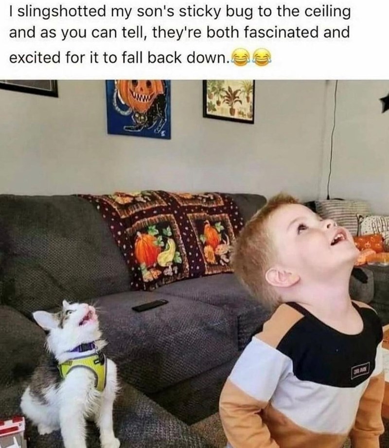 I slingshotted my son's sticky bug to the ceiling and as you can tell, they're both fascinated and excited for it to fall back down. A
