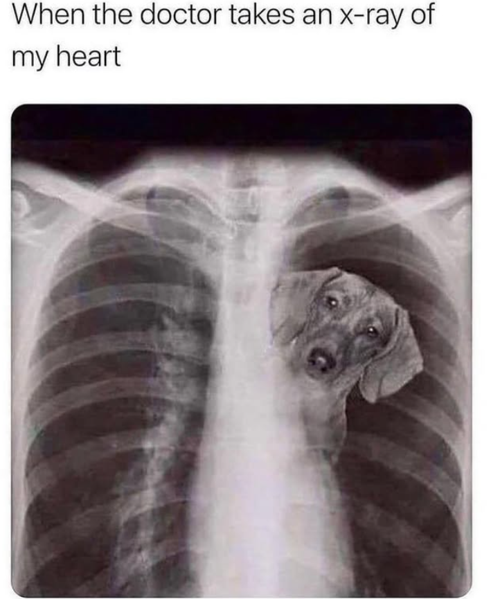 When the doctor takes an x-ray of my heart
