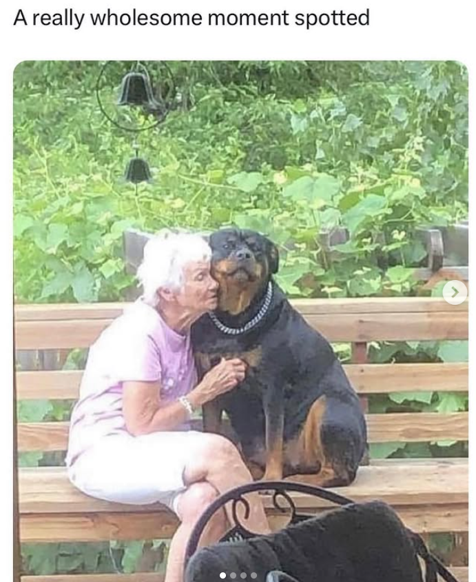 A really wholesome moment spotted