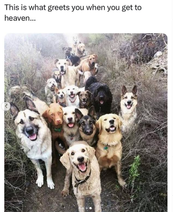 This is what greets you when you get to heaven... <