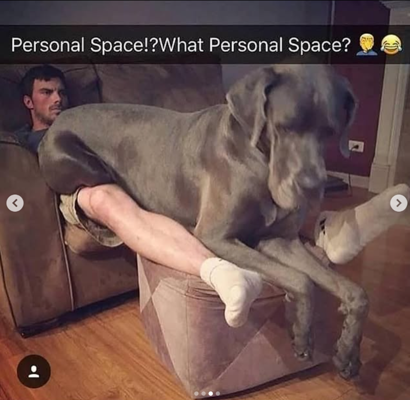 Personal Space!?What Personal Space? < >