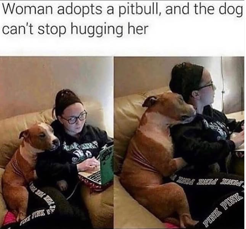 Woman adopts a pitbull, and the dog can't stop hugging her KPINK NIG ANIS N PINK PINK