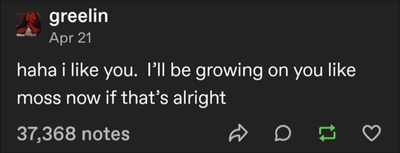 greelin Apr 21 haha i like you. I'll be growing on you like. moss now if that's alright 37,368 notes D