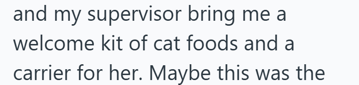 and my supervisor bring me a welcome kit of cat foods and a carrier for her. Maybe this was the