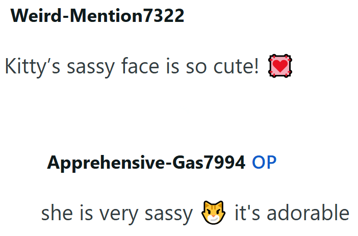 Weird-Mention7322 Kitty's sassy face is so cute! Apprehensive-Gas7994 OP she is very sassy ✓ it's adorable.