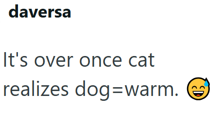 daversa It's over once cat realizes dog warm.