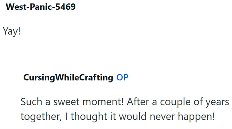 West-Panic-5469 Yay! Cursing WhileCrafting OP Such a sweet moment! After a couple of years together, I thought it would never happen!