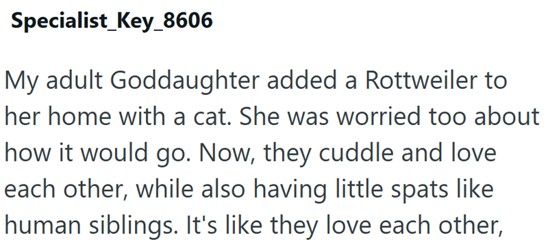 Specialist Key_8606 My adult Goddaughter added a Rottweiler to her home with a cat. She was worried too about how it would go. Now, they cuddle and love each other, while also having little spats like human siblings. It's like they love each other,