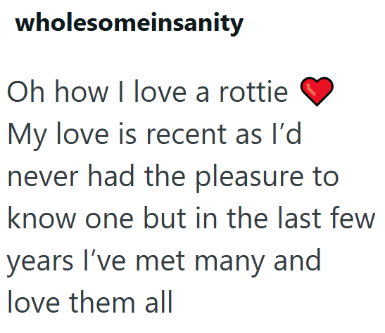 wholesomeinsanity Oh how I love a rottie My love is recent as I'd never had the pleasure to know one but in the last few years I've met many and love them all