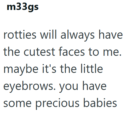 m33gs rotties will always have the cutest faces to me. maybe it's the little eyebrows. you have some precious babies