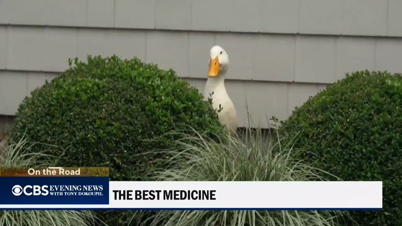 On the Road OCBS WITH TONY DOKOUPIL EVENING NEWS THE BEST MEDICINE