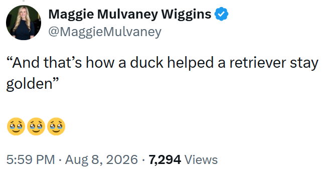 ARE Maggie Mulvaney Wiggins @MaggieMulvaney "And that's how a duck helped a retriever stay golden" • 5:59 PM • Aug 8, 2026 · 7,294 Views