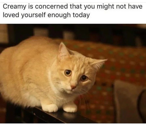 Creamy is concerned that you might not have loved yourself enough today