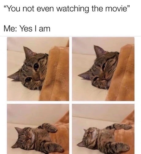 "You not even watching the movie" Me: Yes I am