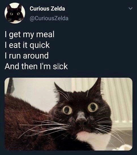 Curious Zelda @CuriousZelda I get my meal I eat it quick I run around And then I'm sick O