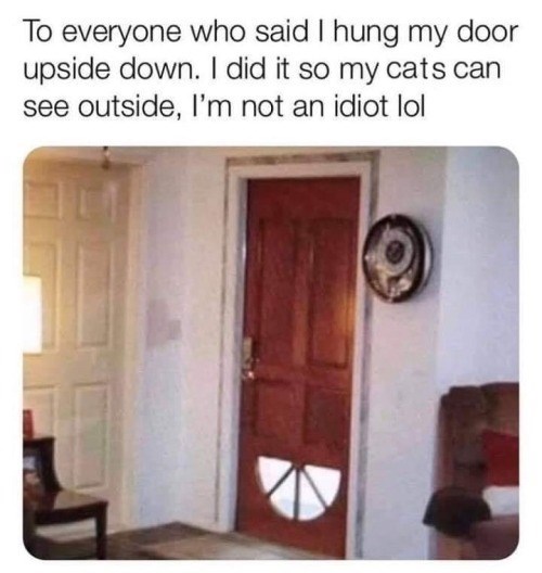 To everyone who said I hung my door upside down. I did it so my cats can see outside, I'm not an idiot lol