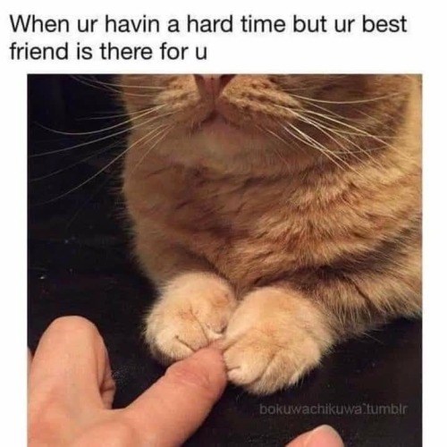 When ur havin a hard time but ur best friend is there for u bokuwachikuwa tumblr