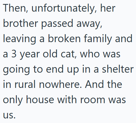 Then, unfortunately, her brother passed away, leaving a broken family and a 3 year old cat, who was going to end up in a shelter in rural nowhere. And the only house with room was us.