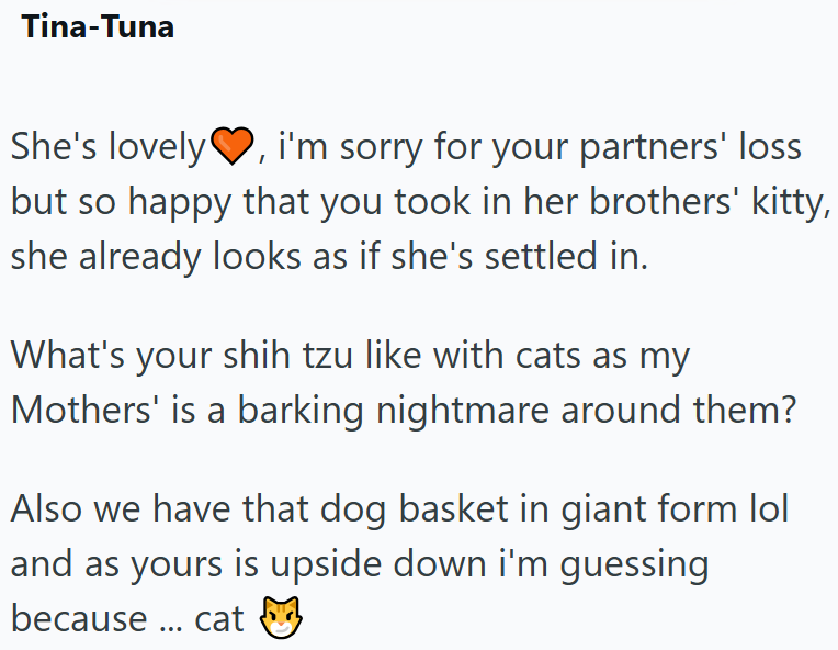 Tina-Tuna She's lovely, i'm sorry for your partners' loss but so happy that you took in her brothers' kitty, she already looks as if she's settled in. What's your shih tzu like with cats as my Mothers' is a barking nightmare around them? Also we have that dog basket in giant form lol and as yours is upside down i'm guessing because ... cat