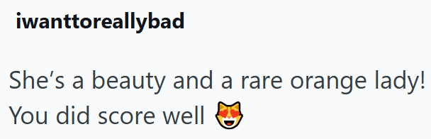 iwanttoreallybad She's a beauty and a rare orange lady! You did score well