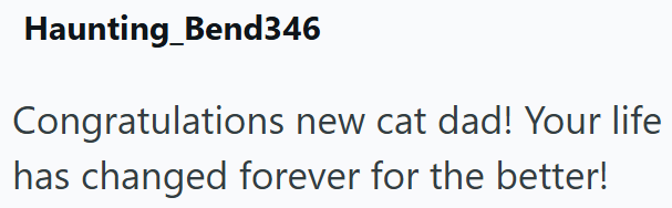 Haunting_Bend346 Congratulations new cat dad! Your life has changed forever for the better!
