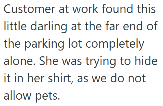 Customer at work found this little darling at the far end of the parking lot completely alone. She was trying to hide it in her shirt, as we do not allow pets.