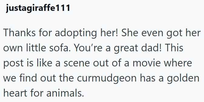 justagiraffe111 Thanks for adopting her! She even got her own little sofa. You're a great dad! This post is like a scene out of a movie where we find out the curmudgeon has a golden heart for animals.