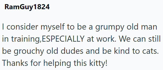 RamGuy1824 I consider myself to be a grumpy old man in training, ESPECIALLY at work. We can still be grouchy old dudes and be kind to cats. Thanks for helping this kitty!
