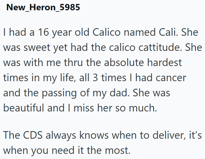 New Heron_5985 I had a 16 year old Calico named Cali. She was sweet yet had the calico cattitude. She was with me thru the absolute hardest times in my life, all 3 times I had cancer and the passing of my dad. She was beautiful and I miss her so much. The CDS always knows when to deliver, it's when you need it the most.