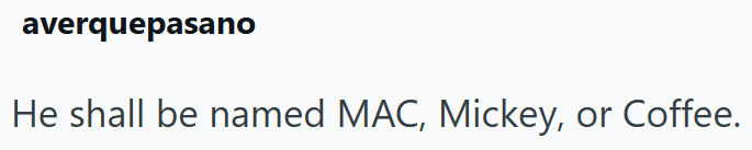 averquepasano He shall be named MAC, Mickey, or Coffee.