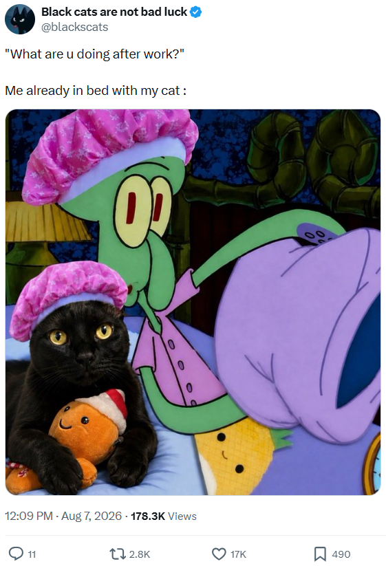 Black cats are not bad luck @blackscats "What are u doing after work?" Me already in bed with my cat : 02 00 0 12:09 PM - Aug 7, 2026 -178.3K Views 11 2.8K 17K ☐ 490