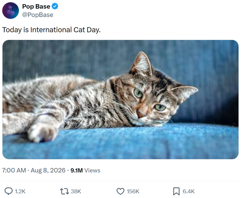 Pop Base @PopBase Today is International Cat Day. 7:00 AM - Aug 8, 2026 - 9.1M Views 1.2K 1738K 156K ☐ 6.4K